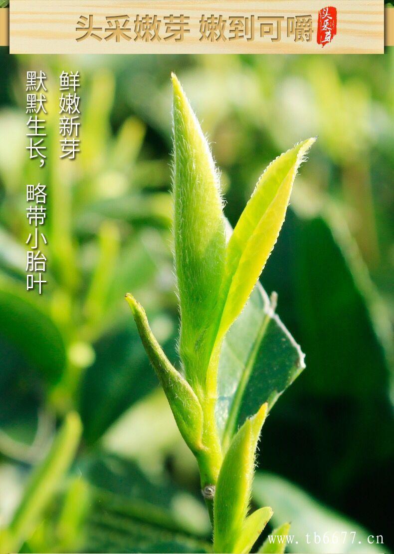 白牡丹茶的价格,新白茶的冲泡注意事项