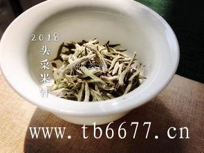 福鼎白茶的历史发展进程