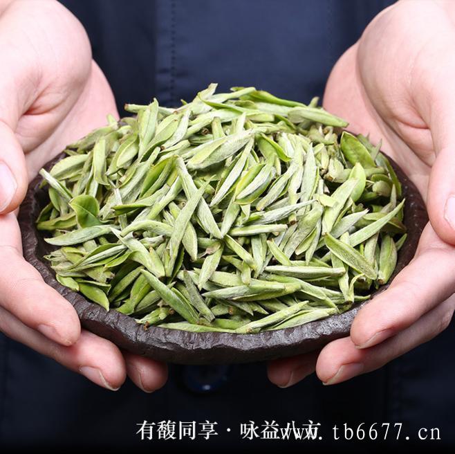 白毫银针品质特征,煮白茶，宜煮老茶,真白牡丹