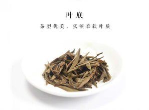 
新白茶涩